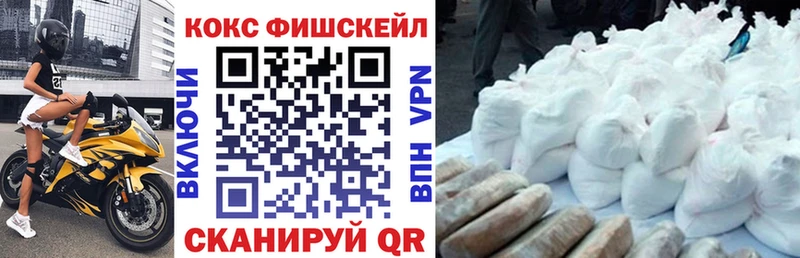 наркота  Болхов  COCAIN FishScale 