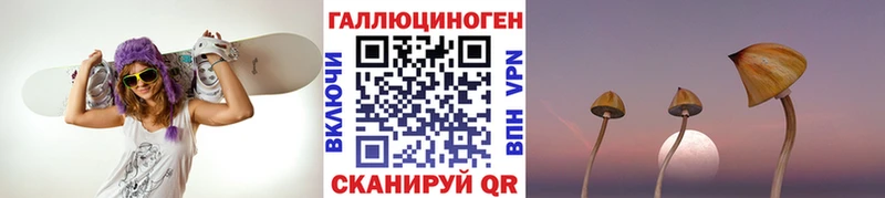 Псилоцибиновые грибы мицелий  Болхов 